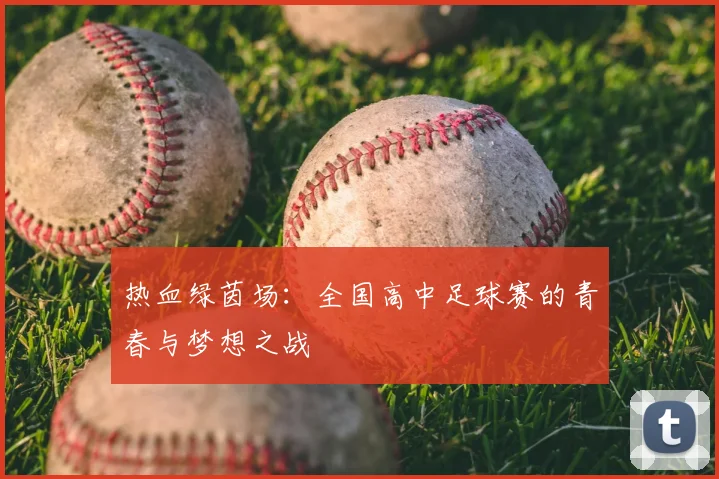 热血绿茵场:全国高中足球赛的青春与梦想之战