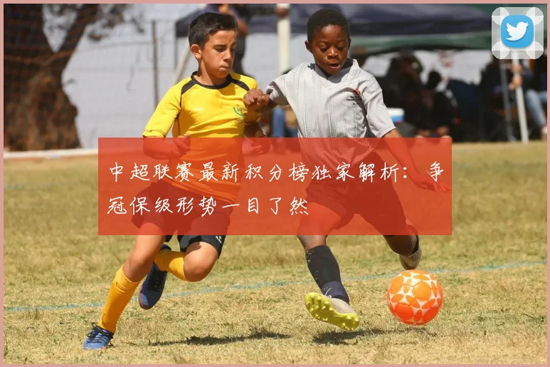 中超联赛最新积分榜独家解析:争冠保级形势一目了然