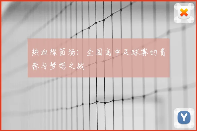 热血绿茵场：全国高中足球赛的青春与梦想之战
